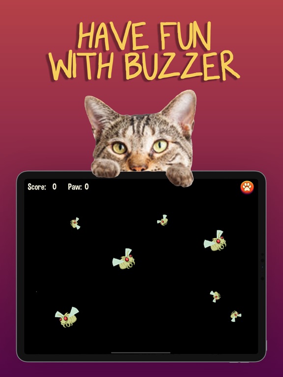 猫游戏