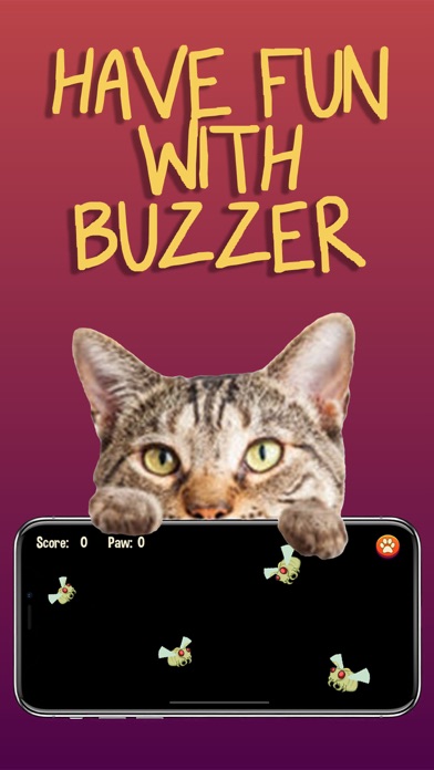 猫游戏