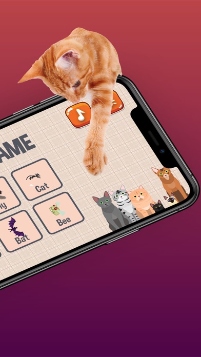 猫游戏