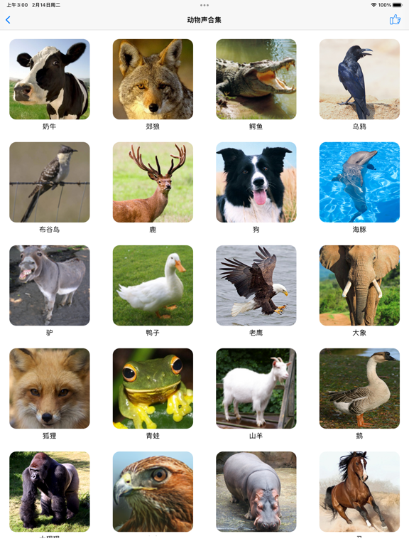 动物叫声 & 猫狗叫声音效模拟器