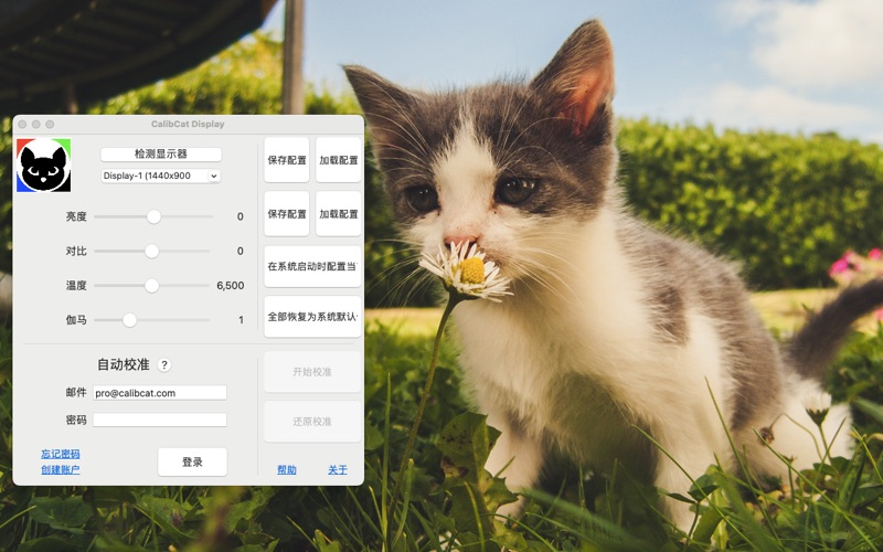 校准猫CalibCatDisplay显示器伽马控制
