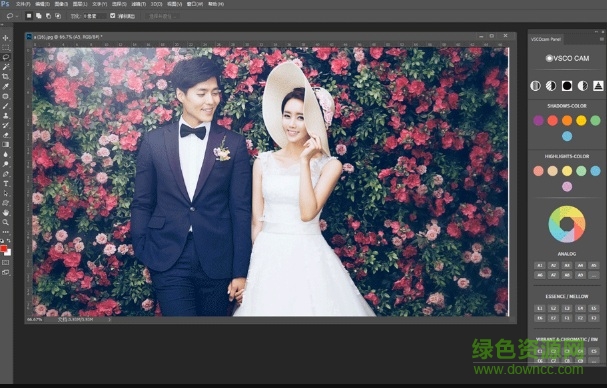 v3sco cam滤镜正式版(ps一键调色插件)下载中文免费版_32/64位