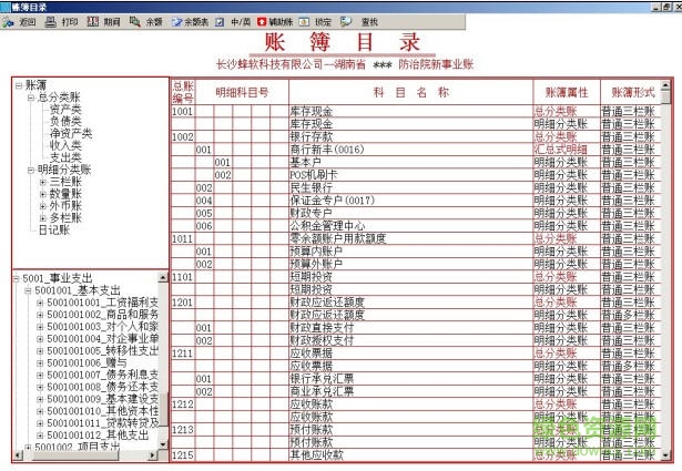 小蜜蜂财务软件下载v6.0 绿色版