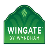 wingate局域网共享上网软件下载v8.5.9 绿色版