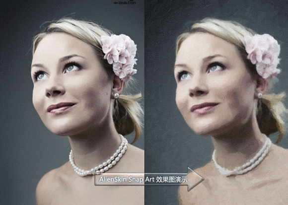 Alien Skin Snap Art 4