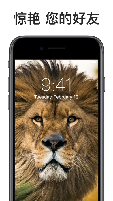 动态壁纸 HD – 图标转换器