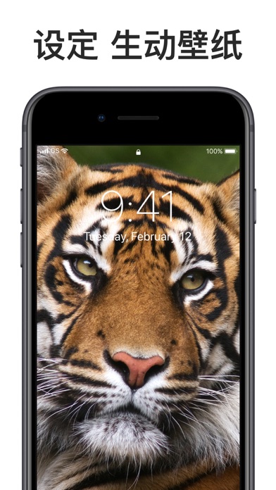动态壁纸 HD – 图标转换器