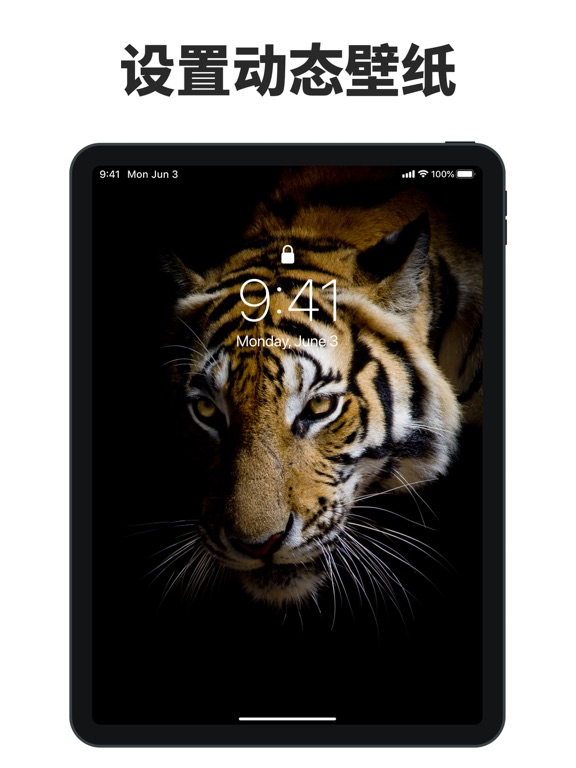 动态壁纸 HD – 图标转换器