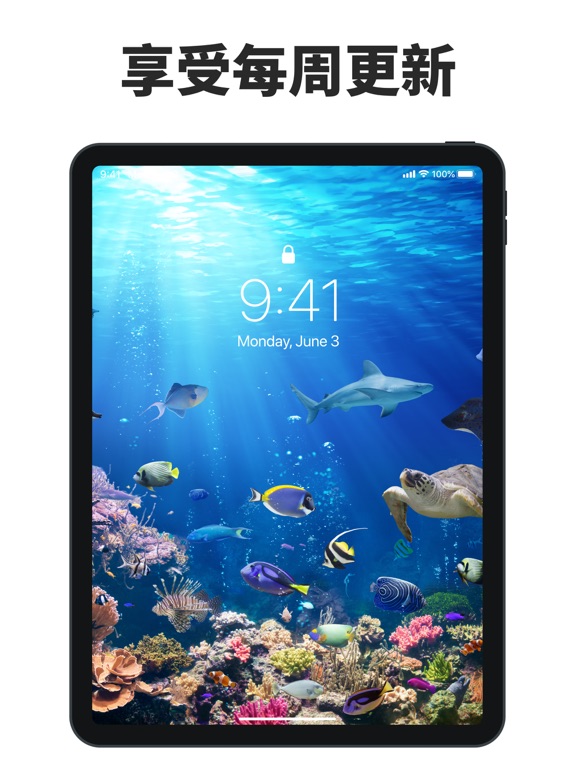 动态壁纸 HD – 图标转换器