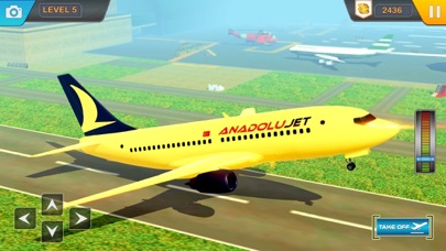 真正的飞机飞行模拟器