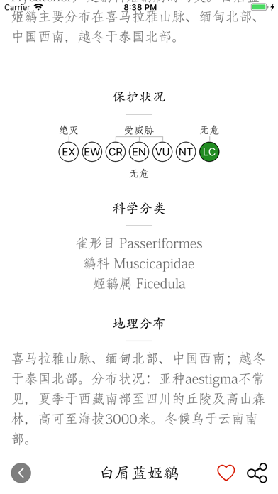 鸟类百科-拍照识鸟