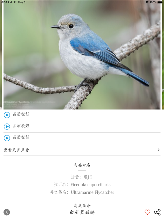 鸟类百科-拍照识鸟