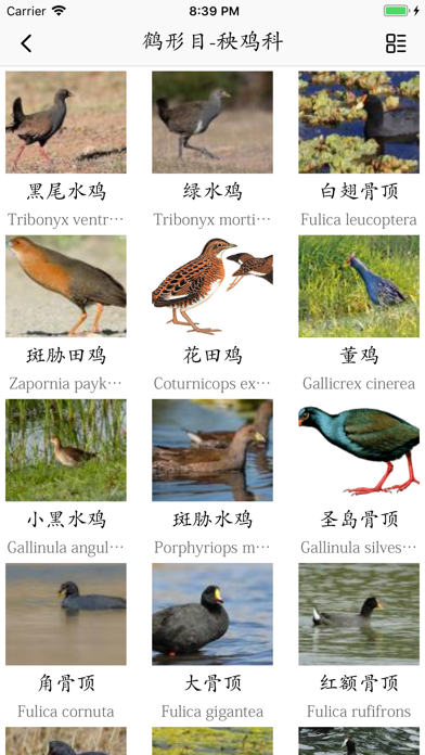 鸟类百科-拍照识鸟