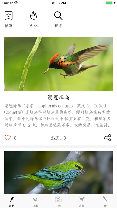 鸟类百科-拍照识鸟