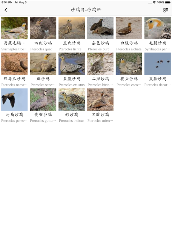 鸟类百科-拍照识鸟