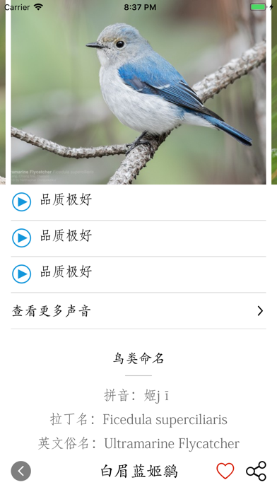 鸟类百科-拍照识鸟