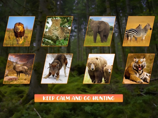 鹿 猎人 狙击手 射击 非洲 野生动物园 2022