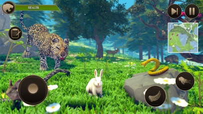 荒野 豹 家庭 生活 模拟