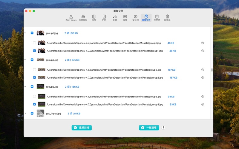 SysCleaner_磁盘清理大师