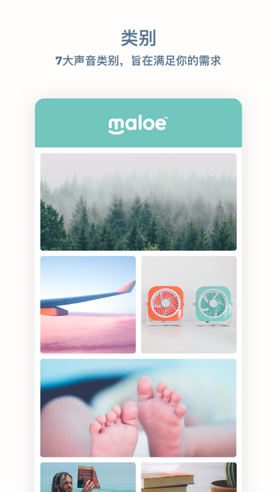 Maloe - 睡眠、安抚、专注