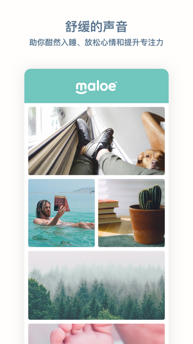 Maloe - 睡眠、安抚、专注