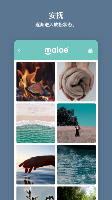 Maloe - 睡眠、安抚、专注