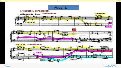 Music Minds 音乐头脑。最好的学习方法音乐