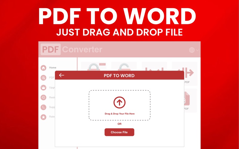 PDF转WORDDOC转换器