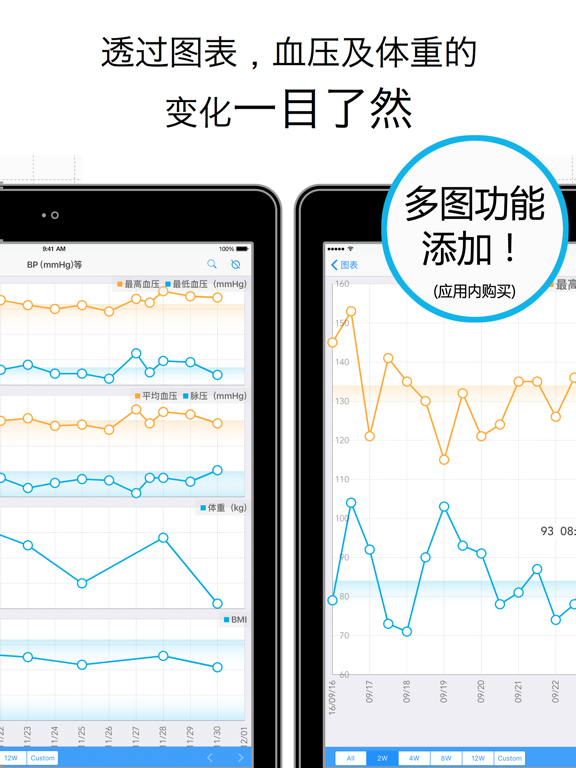 血压纪录图表: 检查风险指标