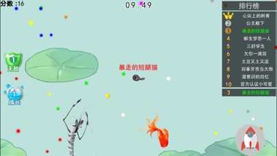 蝌蚪大作战 - 墨虾探蝌