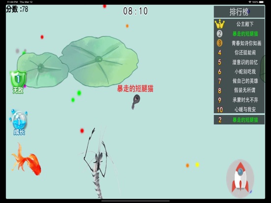 蝌蚪大作战 - 墨虾探蝌