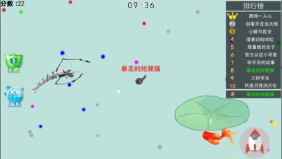 蝌蚪大作战 - 墨虾探蝌