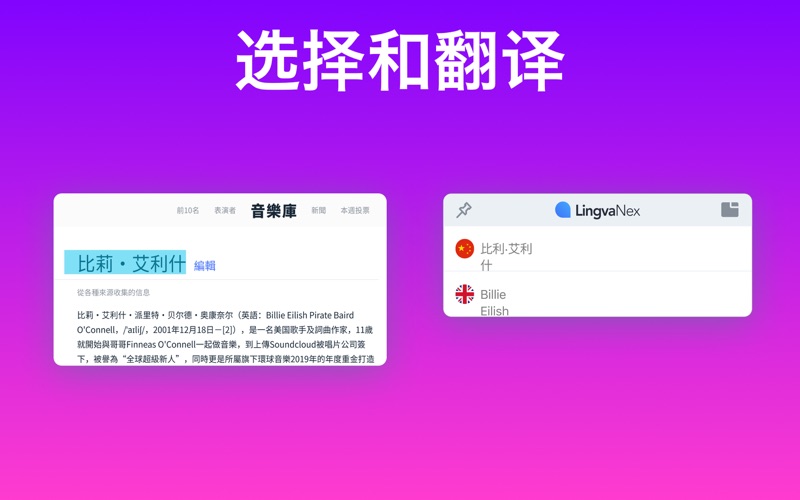 Lingvanex翻译软件和字典