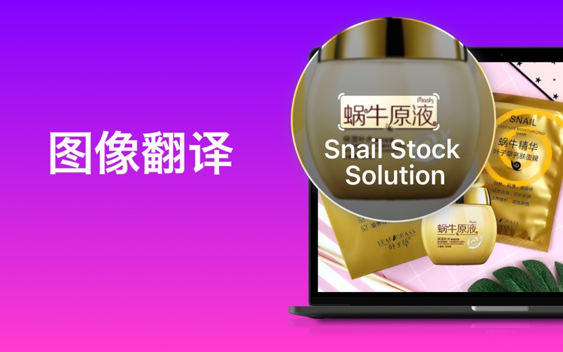 Lingvanex翻译软件和字典