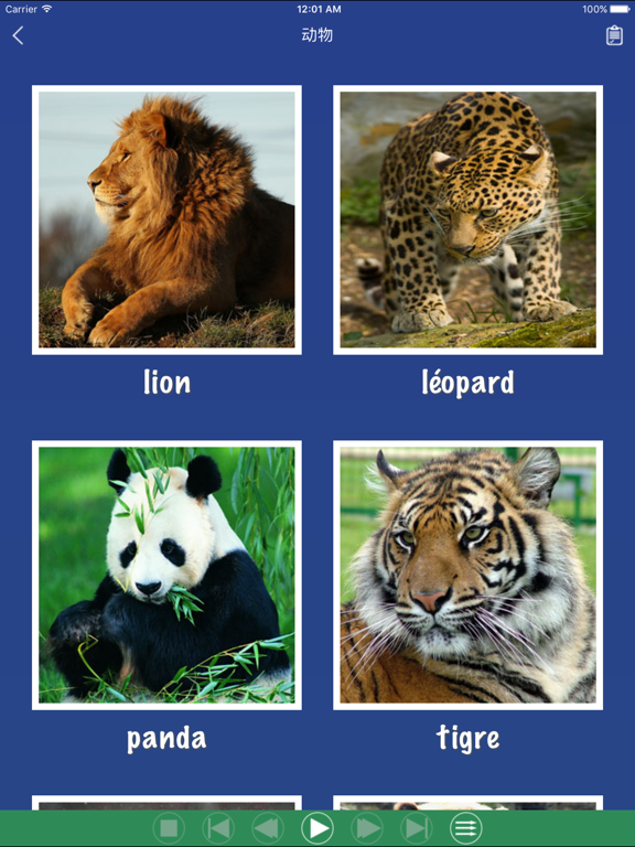 法语单词卡 - 学习法语每日常用基础词汇教程