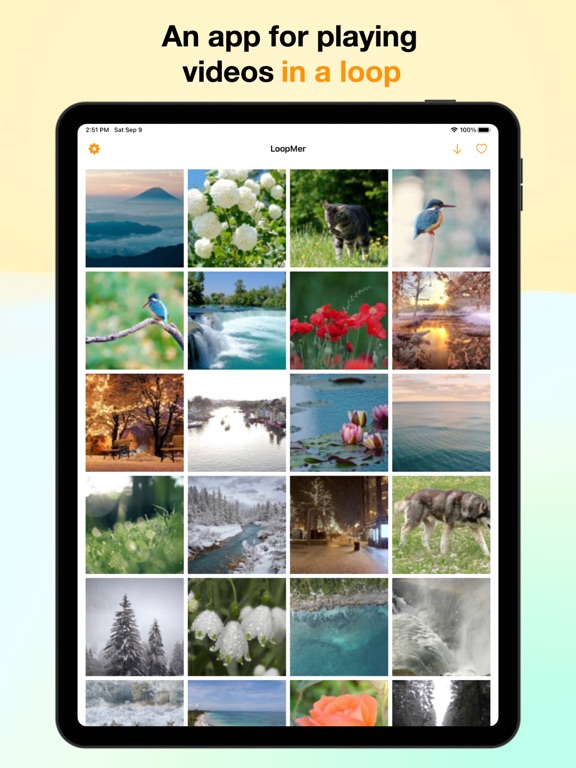 LoopMer_循環播放播放器