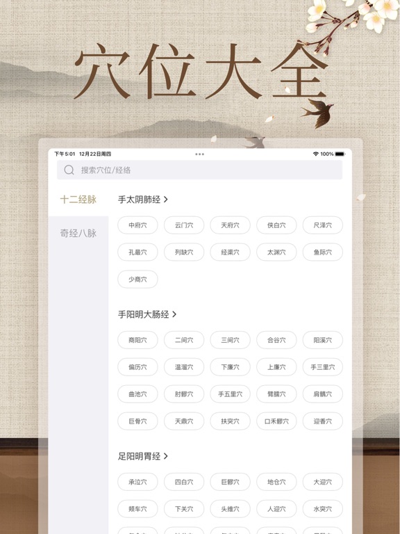 经络穴位图解-人体穴位图