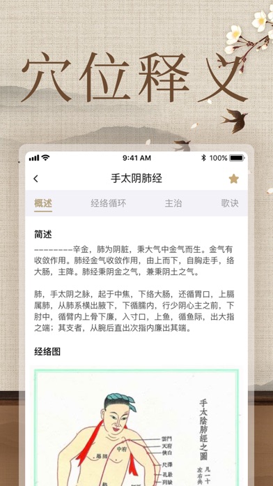 经络穴位图解-人体穴位图