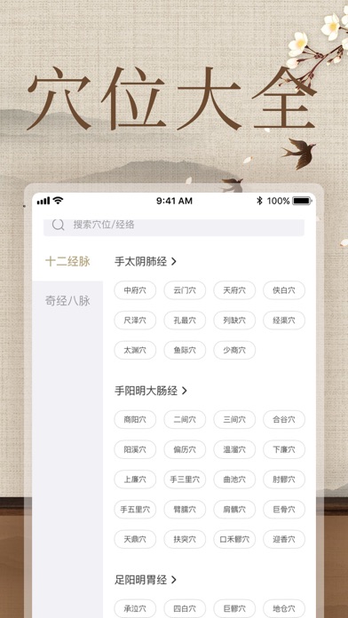 经络穴位图解-人体穴位图