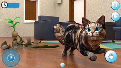 怀孕的猫和可爱的小猫游戏