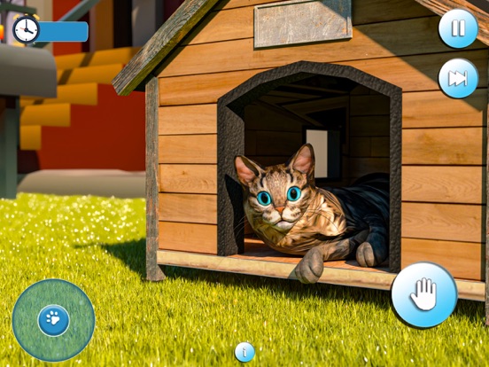 怀孕的猫和可爱的小猫游戏