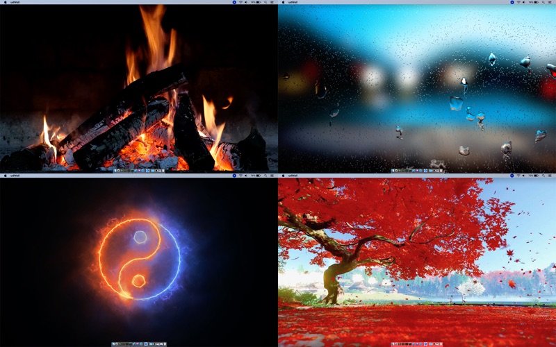 DynaWall_超高清桌面动态壁纸引擎