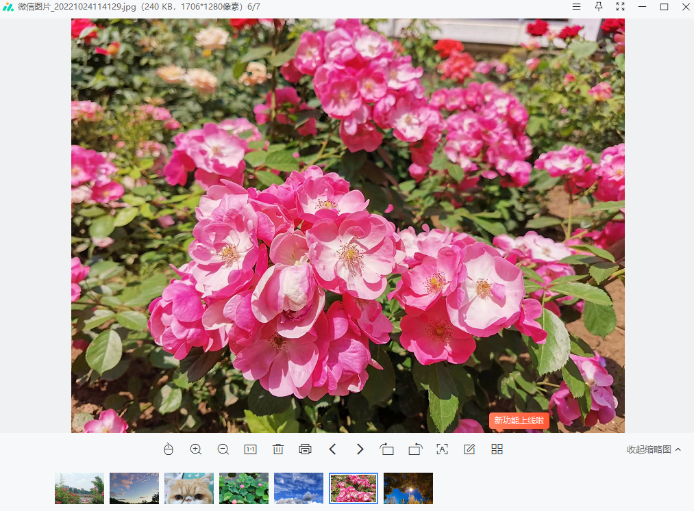 360看图最新版下载v1.0.1.1060 PC端