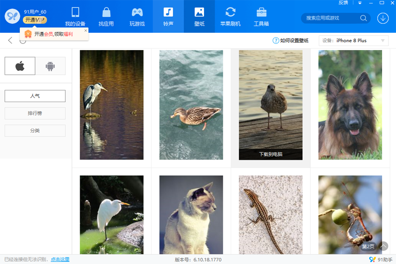 91助手pc版下载v6.10.18.1793 官方最新版