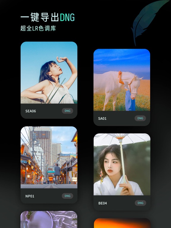 Koloro滤镜预设调色大师 - 滤镜君