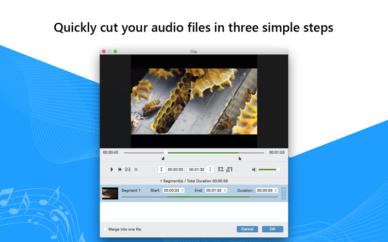 Tipard音乐转换器