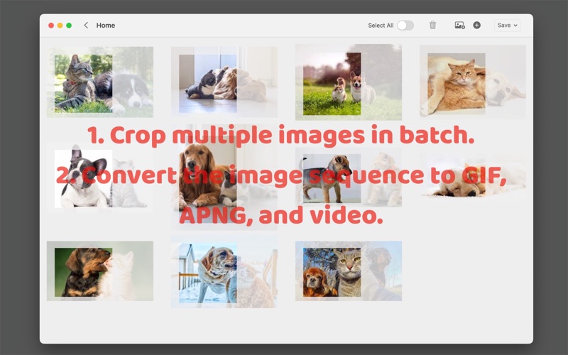 EdgeCutter_批量裁剪照片