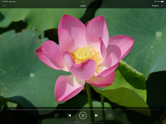 LoveMusicPlayer_本地音乐播放器