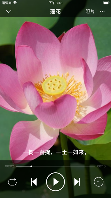 LoveMusicPlayer_本地音乐播放器