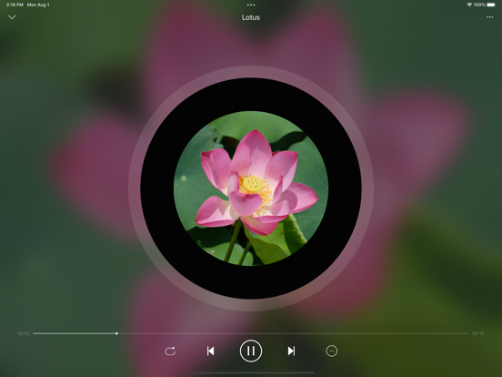 LoveMusicPlayer_本地音乐播放器